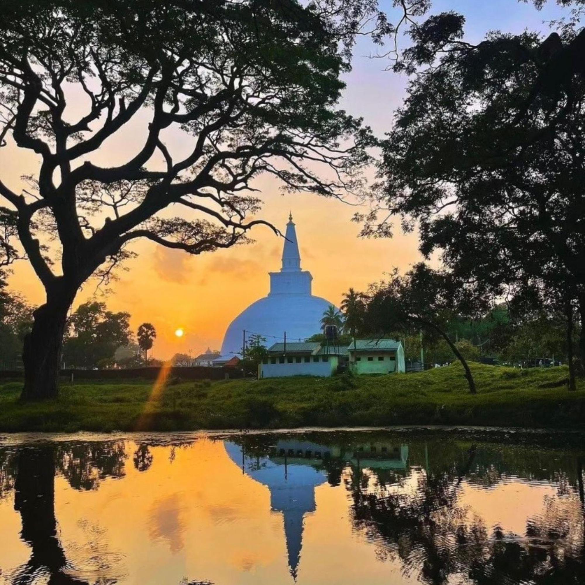 The Ivy Lake Anuradhapura Eksteriør billede